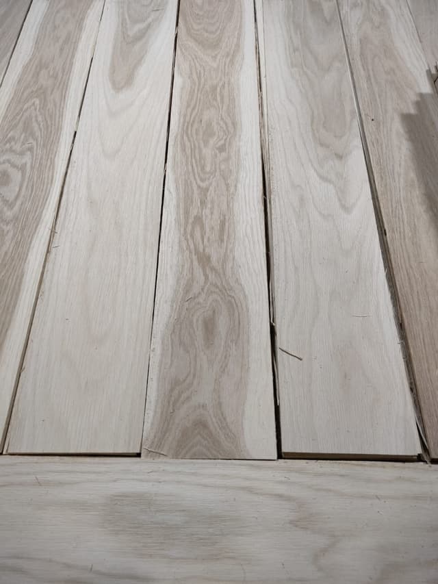Oak Lamella 2